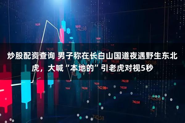 炒股配资查询 男子称在长白山国道夜遇野生东北虎,大喊“本地的”引老虎对视5秒