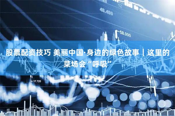股票配资技巧 美丽中国·身边的绿色故事｜这里的菜场会“呼吸”